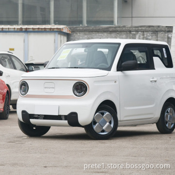 Panda Mini 2023 2023ev Geely PC 2023evev الصينية EV Car